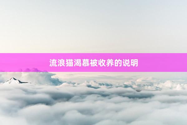 流浪猫渴慕被收养的说明